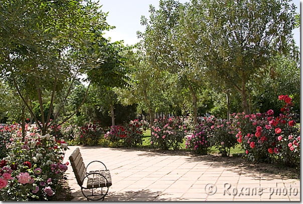Allée du parc Parc Sami Abdulrahman - Sami Abdulrahman park - Erbil - Arbil - Irbil - Hewler - Hawler