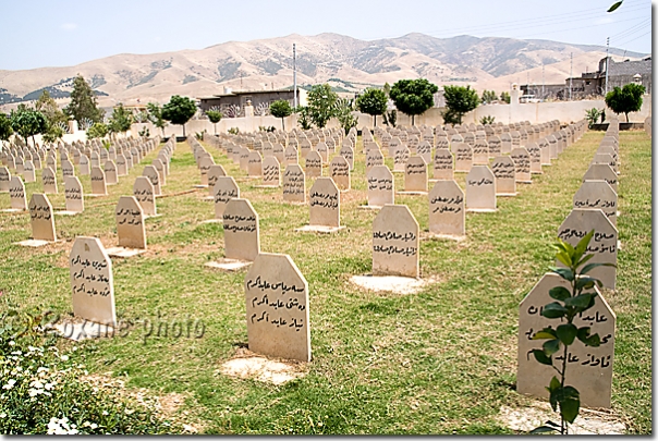 Cimetière de Halabjah - Halabja cemetery - Halabja - Halabjah - Shahrazur - Shahrazor