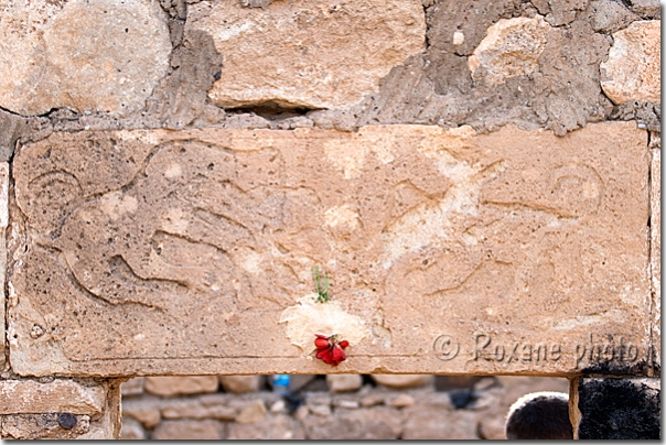 Bas-reliefs - Cimetière de Khanik - Khanik cimetery - Khanki - Khanke
