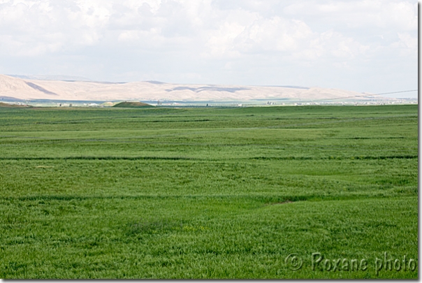 Plaine de Khorsabad - Lowland of Khorsabad - Dur Sharrukin
