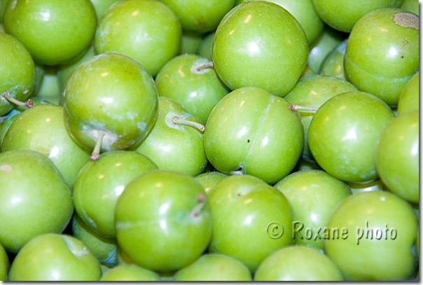 Prunes vertes - Green plums - Duhok - Dohouk