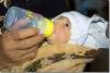 Bébé yézidi - Yazidi baby - Esyan