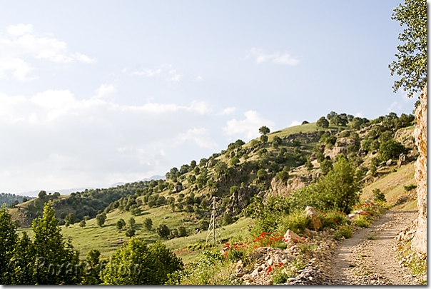 Paysage du Kurdistan - Kurdistan landscape - Rezan