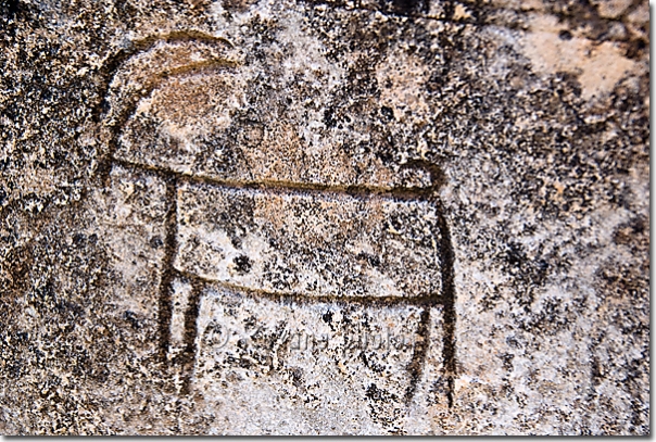 Chèvre sur une tombe - Goat on a grave - Salahaddin - Salah ad Din - Saladin