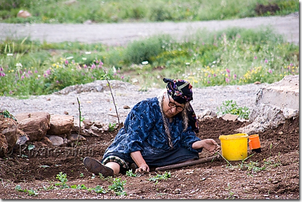 Jardinage - Gardening - Sanate - Sanat - Kurdistan