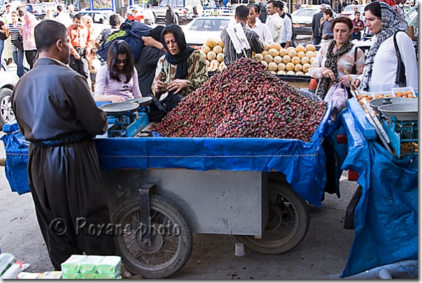 Vendeur de cerises - Cherries - Suleymaniya - Suleymaniye - Suleymaniyeh - Suleymaniyah - Kurdistan