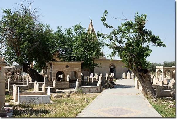 Ali Haci - Baadra - Badrê - Baadrê