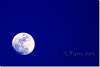 Lune dans la nuit kurde - Moon in the Kurdish night - Barzan