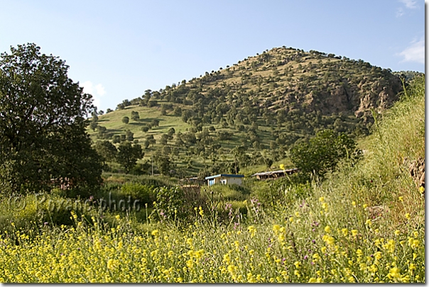 Paysage de montagne - Kurdish mountain landscape - Barzan