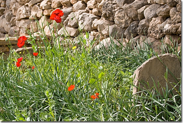 Tombe de Mustafa Barzani - Tomb of Mustafa Barzani Barzan