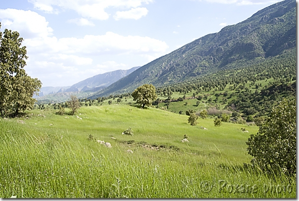 Montagne dans la région de Bekhma - Mountains in the Bekhma region