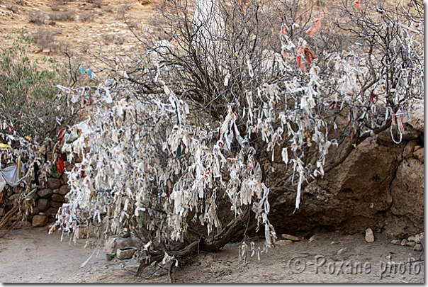 Arbre à voeux - Tree for wishes - Petite Lalesh - Little Lalish - Bozan