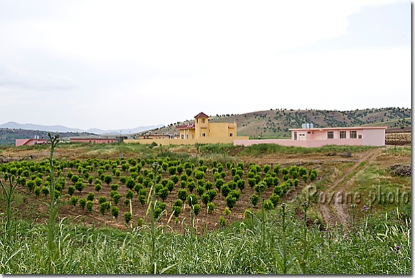 Village chrétien de Cembkurik - Christian village of Cembkurik