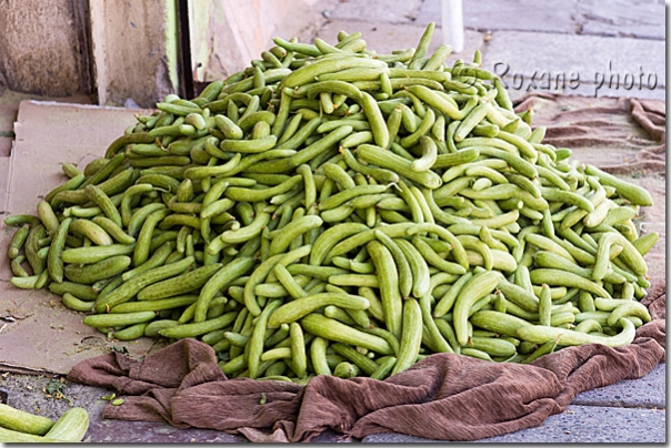 Concombres - Cucumbers - Duhok - Dohuk