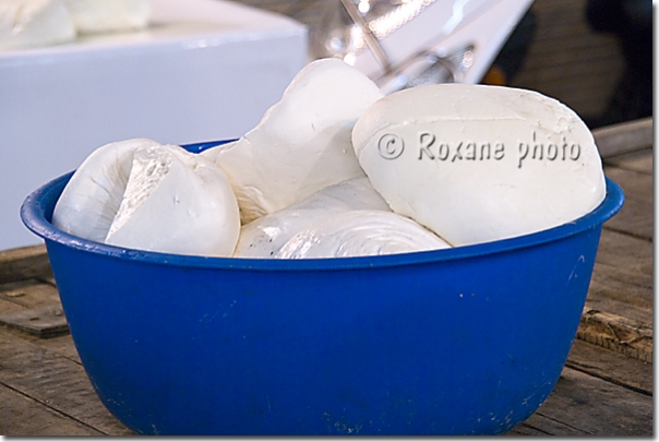 Fromage kurde - Kurdish cheese - Bazar d'Erbil - Erbil's bazaar - Arbil Hewler - Hawler - Irbil