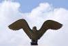 Aigle du parc du minaret - Eagle of the minaret park - Erbil - Arbil - Irbil - Hewler - Hawler