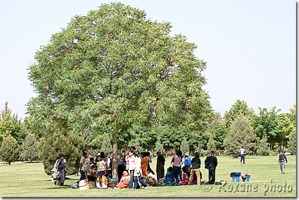 Pique-nique au parc Sami Abdulrahman - Picnic in Sami Abdulrahman park - Erbil - Arbil - Irbil - Hewler - Hawler