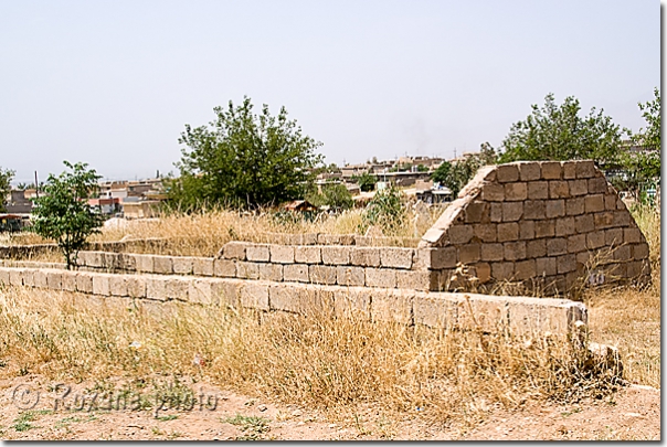 Fosse commune - Mass grave - Halabja - Halabjah - Shahrazur - Shahrazor