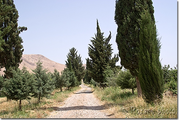 Campagne kurde - Kurdish country - Kanipanka - Kani Panka - Shahrazur - Shahrazor