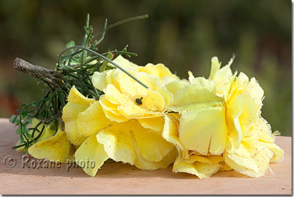 Fleurs sur une tombe - Flowers on a grave - Khanik - Khanki - Khanke