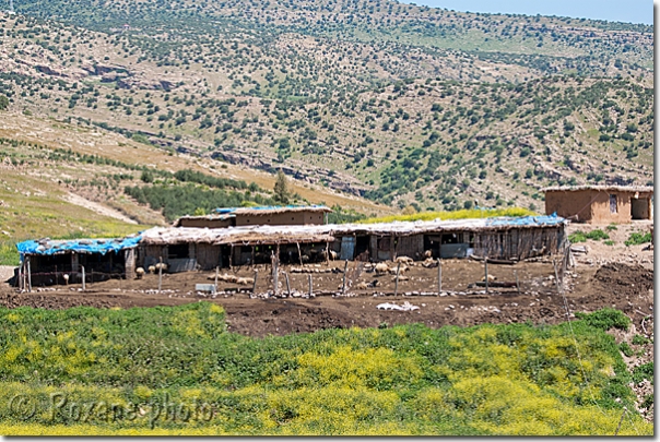 Bergerie - Sheepfold - Bavian - Khenis