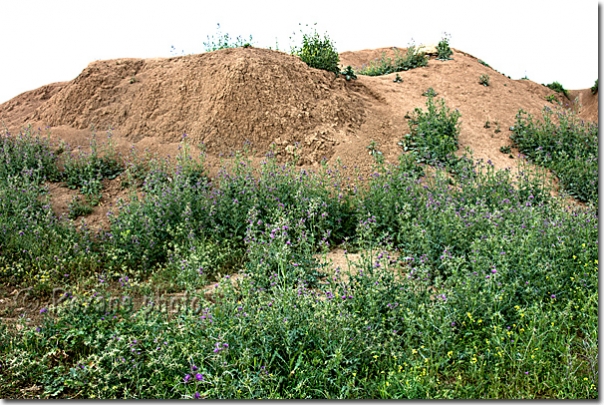 Site archéologique - Archaelogical site - Khorsabad - Dur Sharrukin