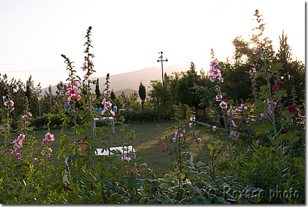 Jardin - Garden - Koya Sandjak - Koyasandjak