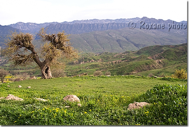 Montagnes - Mountains - Kwane - Komane - Komani