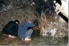 Source sacrée Zemzem - Sacred spring - Lalesh - Lalish