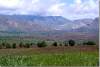Montagnes du Kurdistan - Kurdistan mountains - Levo - Lévo