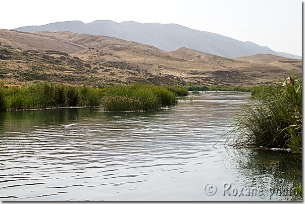 Tigre près de Mossoul - Tigris near Mosul