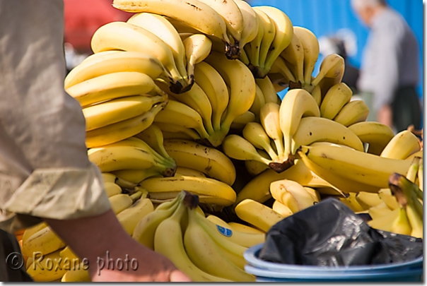 Bananes - Bananas - Suleymaniyeh - Suleymaniya