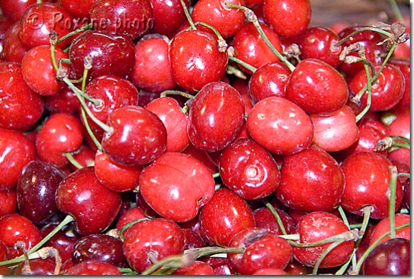 Cerises - Cherries - Duhok - Dohuk