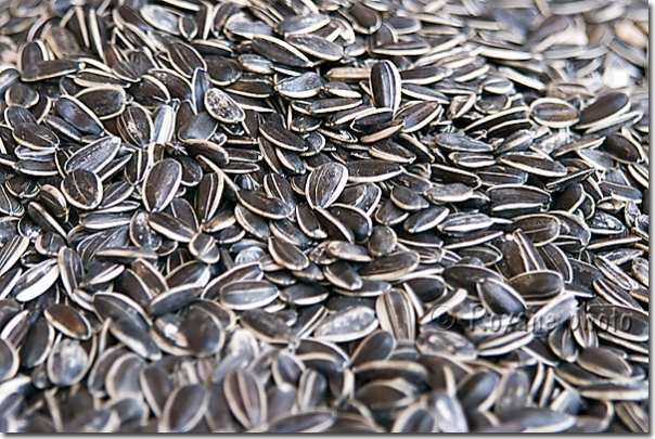 Graines de tournesol - Sunflower seeds - Duhok - Dahouk