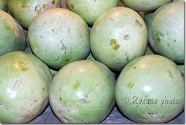 Melons - Cucumis melo - Duhok - Dohuk