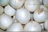 Oignons blancs - White onions - Alliaceae - Duhok - Dohuk