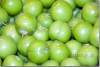 Prunes vertes - Green plums - Duhok - Dohouk