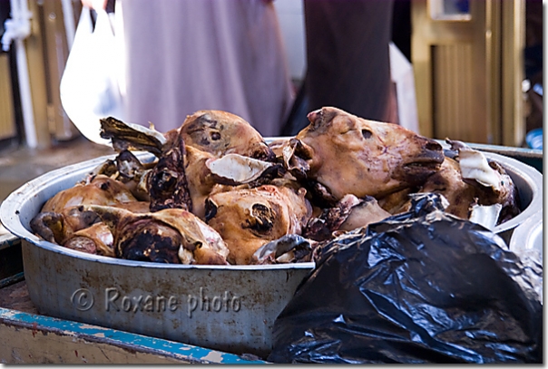 Têtes de moutons - Sheep heads - Suleymaniye - Suleymaniyah