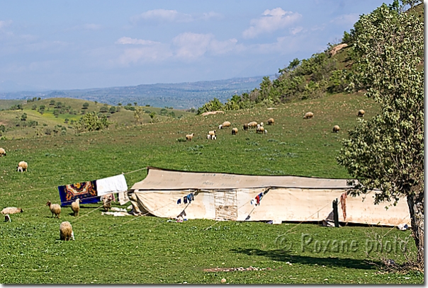 Campement de nomades - Nomads camp - Piraka - Pireke