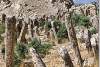 Cimetière au pied de la citadelle - Citadel and cemetery - Salahaddin - Salah ad Din - Saladin
