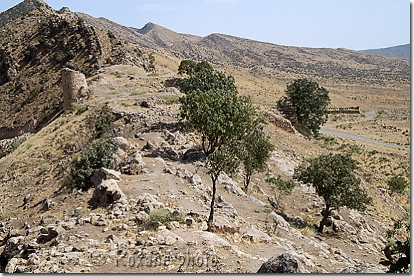 Citadelle - Citadel - Salahaddin - Salah ad Din - Saladin