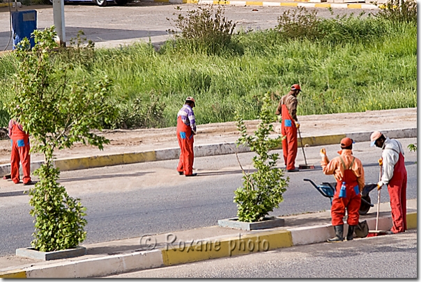 Travailleurs immigrés - Migrant workers - Salahaddin - Salah ad Din - Saladin