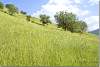 Montagnes de Shanidar - Shanidar's mountains - Shanidar - Shanadar Kurdistan